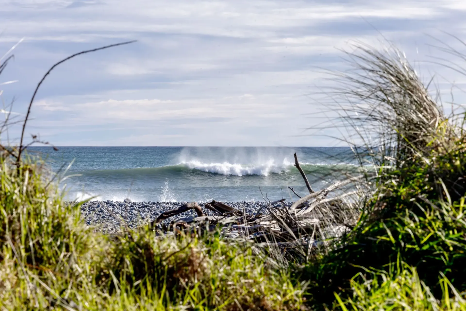 The West Coast landscape